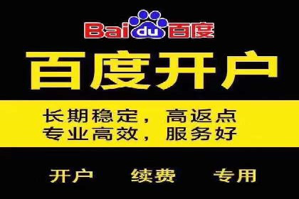 百度推广案例：成功打造行业领军品牌